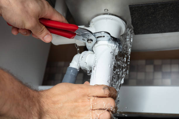 Best Mold removal after water damage  in Millersburg, OH