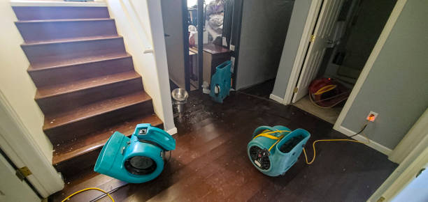 Best Emergency water damage restoration  in Millersburg, OH