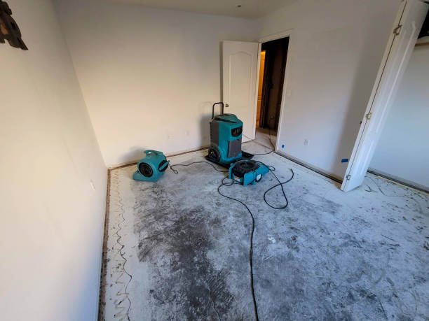 Best Flood damage cleanup  in Millersburg, OH