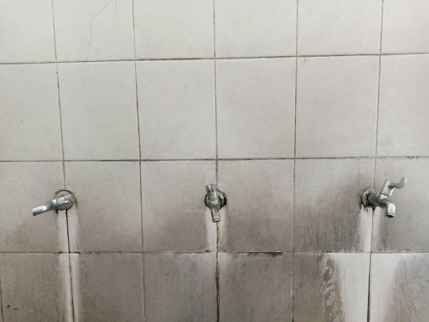 Best Local water damage restoration  in Millersburg, OH