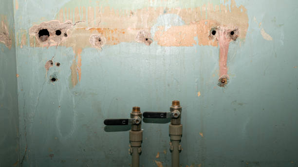 Best Commercial water damage restoration  in Millersburg, OH