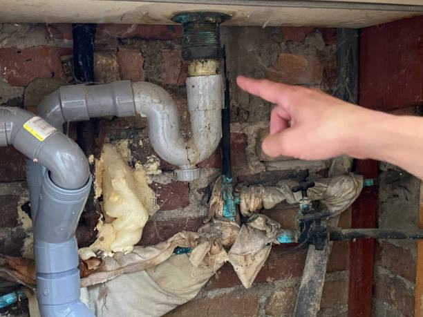 Best Professional water damage repair  in Millersburg, OH